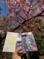 桜神宮の御朱印