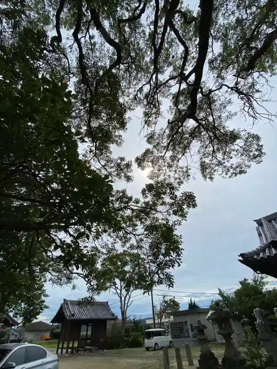 高田八幡神社の周辺