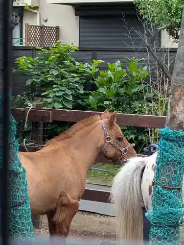 五方山熊野神社(東京都)