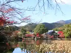 大覚寺(京都府)