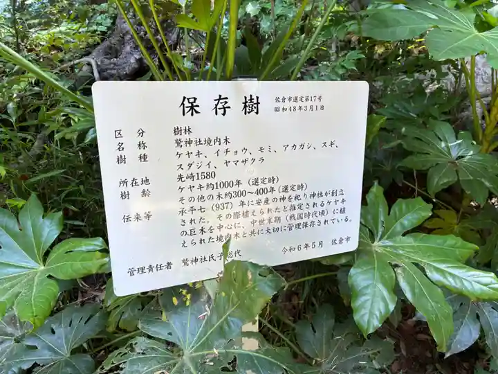 鷲神社(先崎鷲神社)(千葉県)