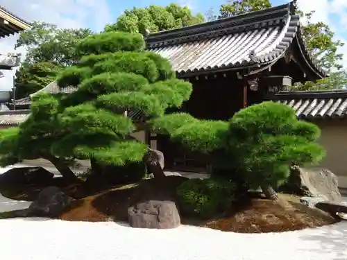 観智院（東寺子院）の庭園