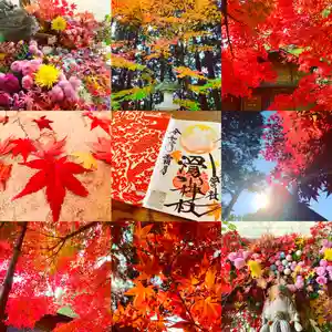 滑川神社 - 仕事と子どもの守り神のその他建物 2020年11月16日(月)〜(2020年11月16日(月) 07時10分56秒投稿)