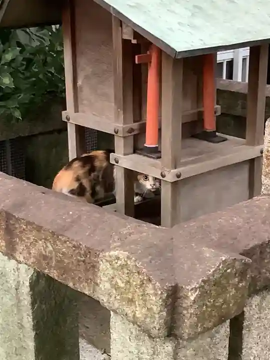 天王坊稲荷神社の動物