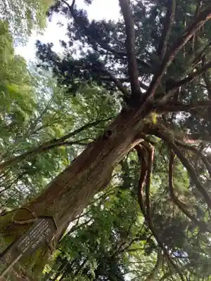 白河神社(福島県)