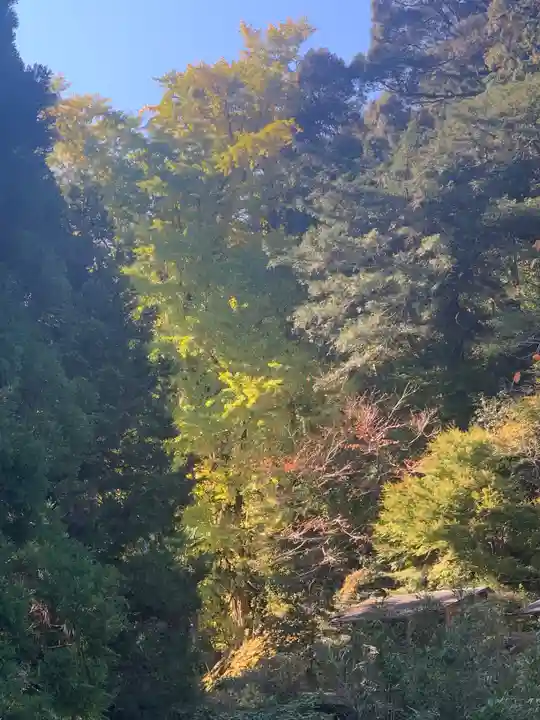 流谷八幡神社(大阪府)