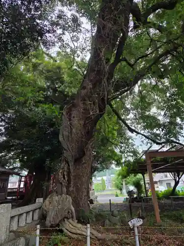 金守神社(静岡県)