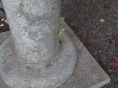 貴船神社の動物