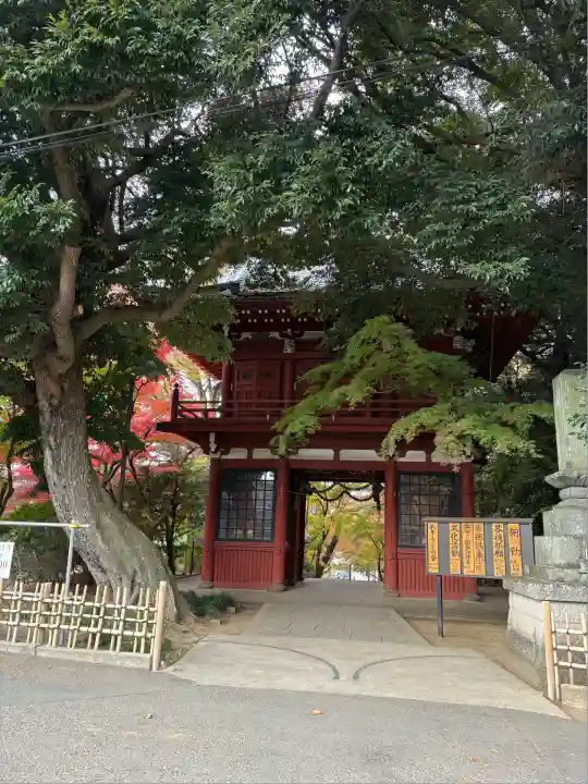 本土寺(千葉県)