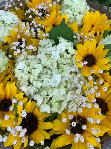 彌都加伎神社の手水舎