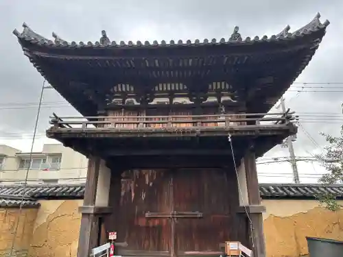 般若寺 ❁﻿コスモス寺❁(奈良県)