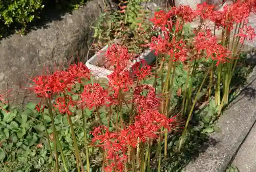 宗隆寺の自然