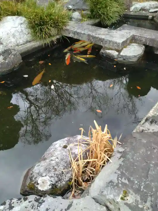 徳本寺(宮城県)