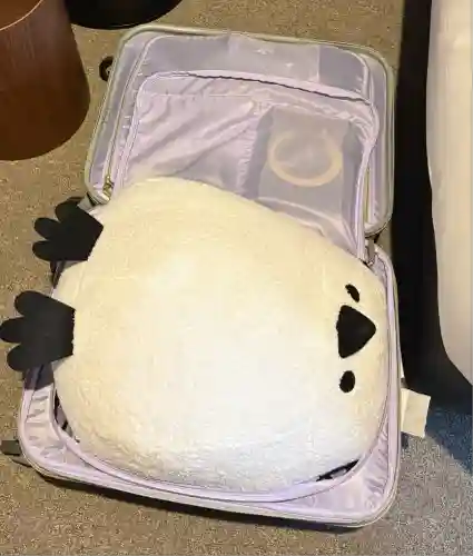 札幌諏訪神社の周辺