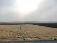 子野神社の周辺