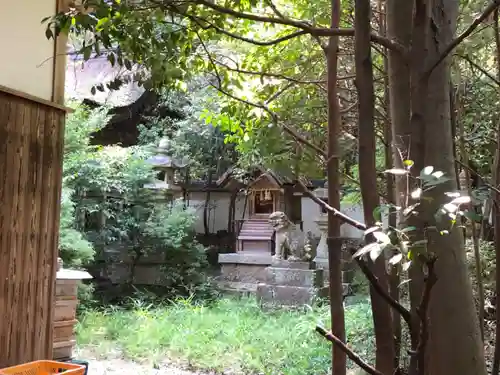 葛木倭文座天羽雷命神社の本殿