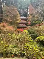 岩船寺(京都府)