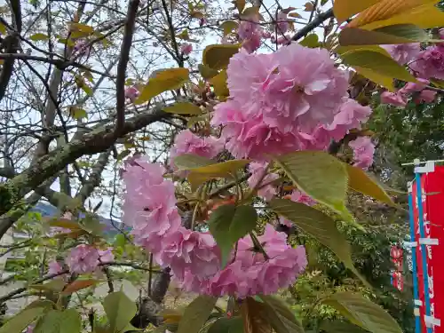 神願寺(和歌山県)