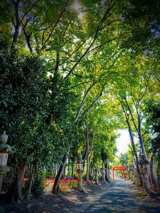伊福部神社の自然
