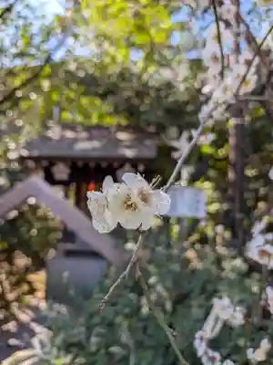阿佐ヶ谷神明宮(東京都)