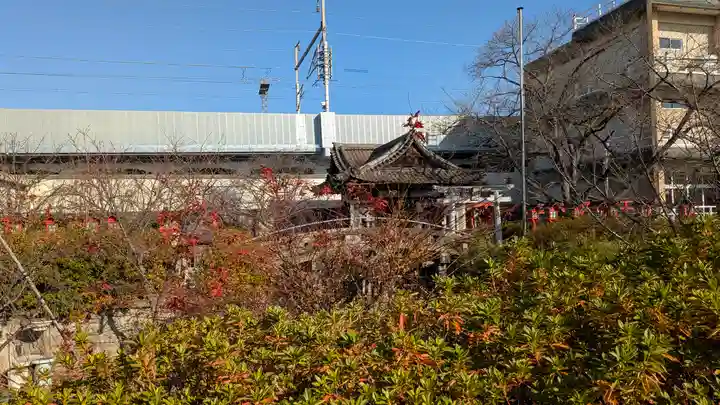 六孫王神社(京都府)