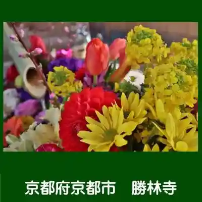 勝林寺の手水舎