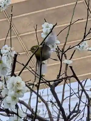 繁榮稲荷神社(東京都)