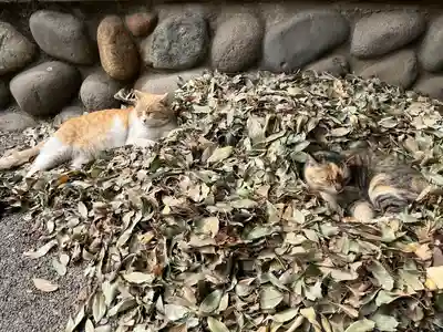 雀神社(茨城県)