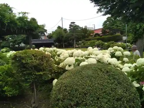 二十三夜尊 桂岸寺(茨城県)