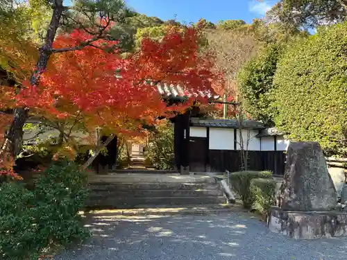 善法律寺(京都府)