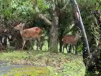 熊野那智大社(和歌山県)