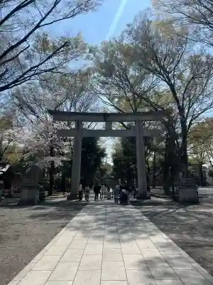 大國魂神社の{uncategorized: "未分類", other: "その他", undefined: "問題あり", building: "その他建物", grave: "お墓", sacred_gate: "鳥居", guardian: "狛犬", statue: "像", buddha: "仏像", history: "歴史", nature: "自然", garden: "庭園", animal: "動物", pagoda: "塔", temizu: "手水舎", mountain_gate: "山門・神門", sanctuary: "本殿・本堂", subordinate: "末社・摂社", art: "芸術", scenery: "景色", jizo: "地蔵", ema: "絵馬", goshuin: "御朱印", omikuji: "おみくじ", items: "授与品その他", amulet: "お守り", goshuincho: "御朱印帳", eats: "食事", festival: "お祭り", votive_dance: "神楽", shichigosan: "七五三参", wedding: "結婚式", experience: "体験その他", initially: "初詣", around: "周辺", anti_infection: "感染症対策"}