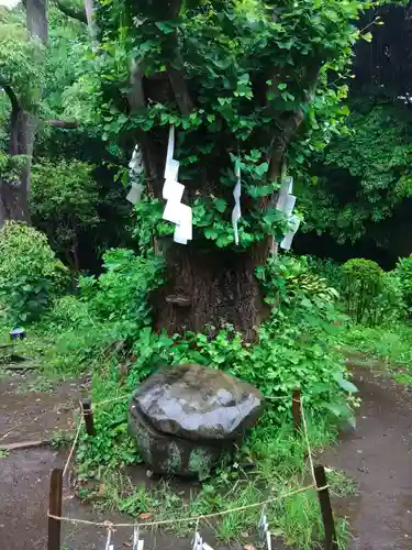 江島神社(神奈川県)