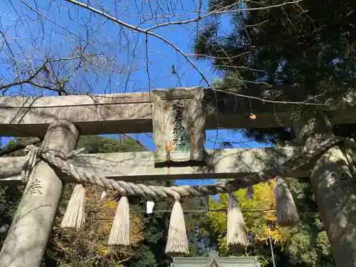 安房神社の鳥居