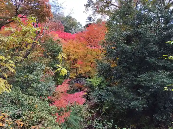 根来寺(和歌山県)