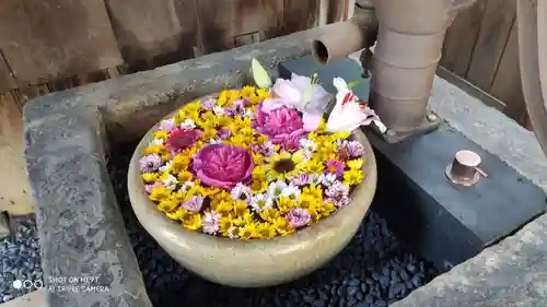 荘厳寺(京都府)