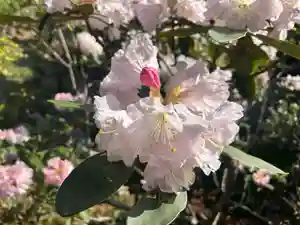 木舟山 順教寺(広島県)(2025年04月30日(水) 08時26分34秒投稿)