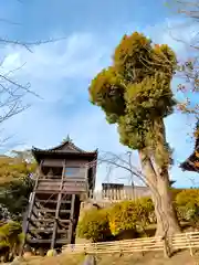 阿智神社(岡山県)