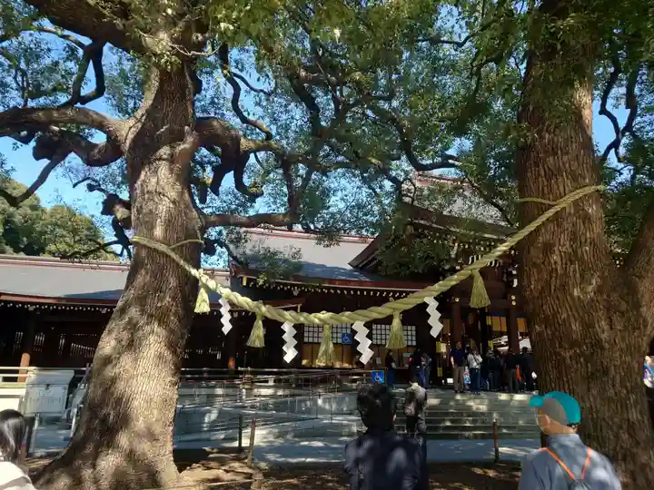 明治神宮(東京都)