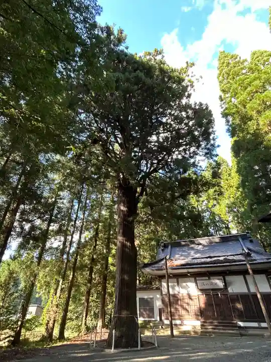 米子神社(長野県)