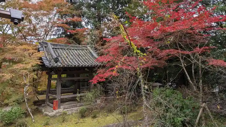 十輪寺(京都府)