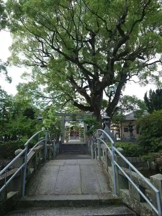 老松神社(佐賀県)