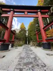 北口本宮冨士浅間神社の鳥居