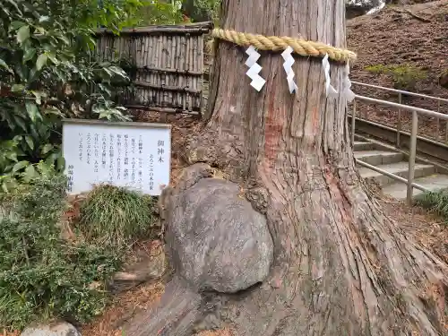 神場山神社(静岡県)