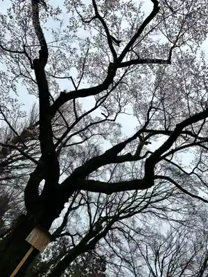 愛宕稲荷神社(長野県)