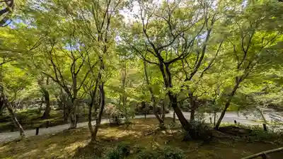 圓光寺(京都府)