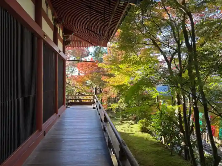 禅林寺(永観堂)(京都府)