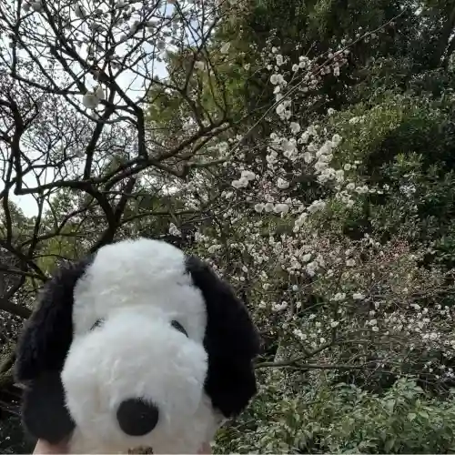 熱田神宮の{uncategorized: "未分類", other: "その他", undefined: "問題あり", building: "その他建物", grave: "お墓", sacred_gate: "鳥居", guardian: "狛犬", statue: "像", buddha: "仏像", history: "歴史", nature: "自然", garden: "庭園", animal: "動物", pagoda: "塔", temizu: "手水舎", mountain_gate: "山門・神門", sanctuary: "本殿・本堂", subordinate: "末社・摂社", art: "芸術", scenery: "景色", jizo: "地蔵", ema: "絵馬", goshuin: "御朱印", omikuji: "おみくじ", items: "授与品その他", amulet: "お守り", goshuincho: "御朱印帳", eats: "食事", festival: "お祭り", votive_dance: "神楽", shichigosan: "七五三参", wedding: "結婚式", experience: "体験その他", initially: "初詣", around: "周辺", anti_infection: "感染症対策"}