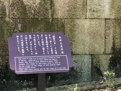 石清水八幡宮(京都府)