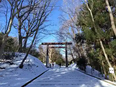 北海道神宮の鳥居